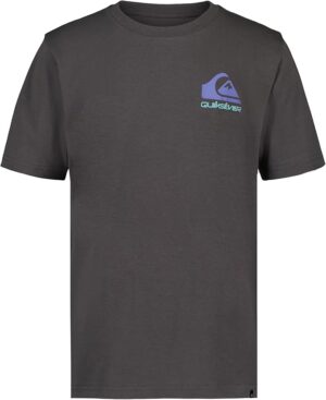 Quiksilver Boys' Short Sleeve Regular Fit Logo Graphic T-Shirt