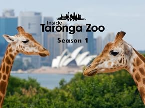 Secrets Of The Zoo: Down Under